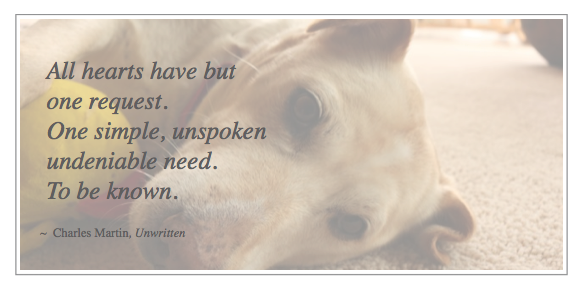 Honey with quote2014-10-18 at 7.46.38 PM