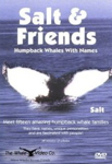 Salt-and-Friends